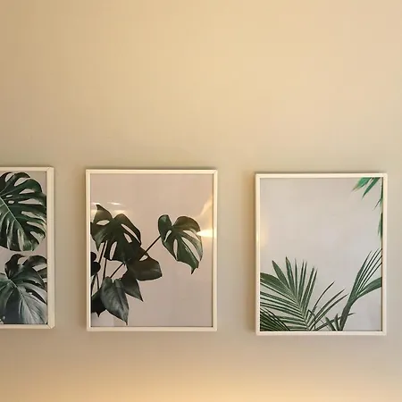 Flh Boavista Flat Ii Daire Porto