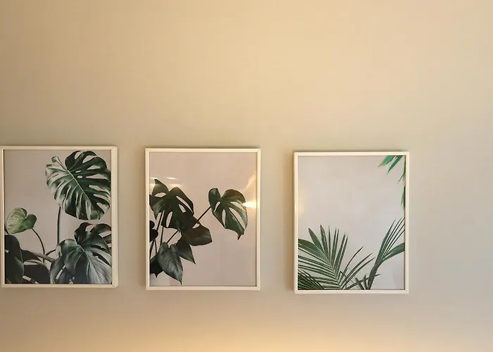 Flh Boavista Flat Ii Daire Porto